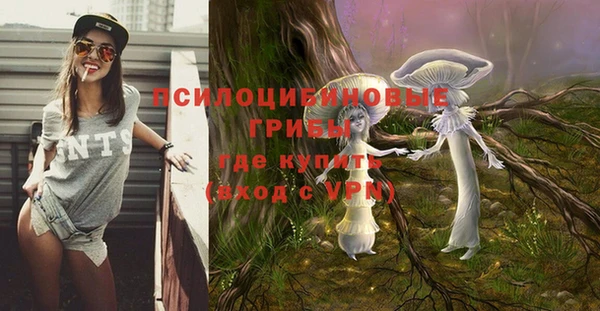 мет Алексеевка