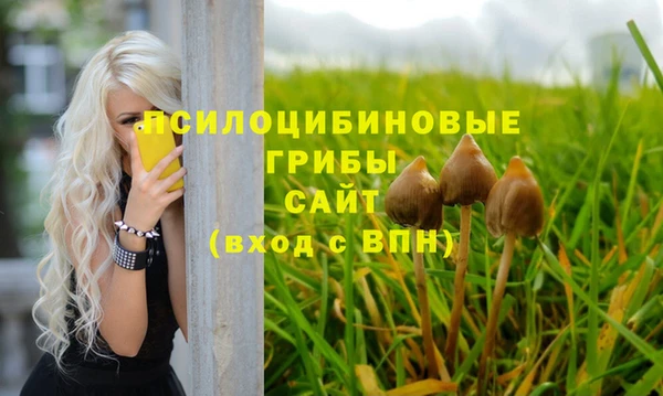 мескалин Алексин